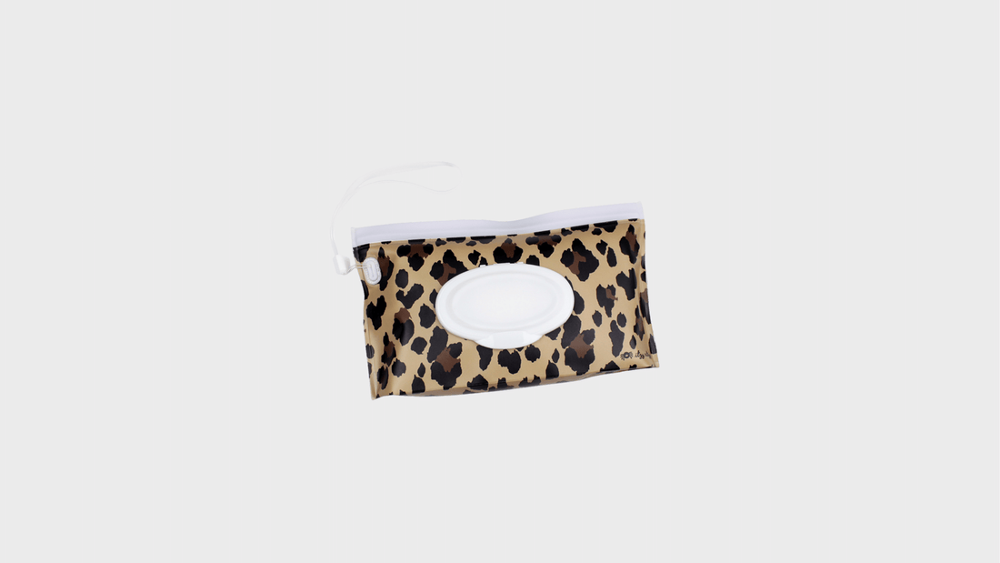Itzy Ritzy Wipes Case in Jetsetter Black