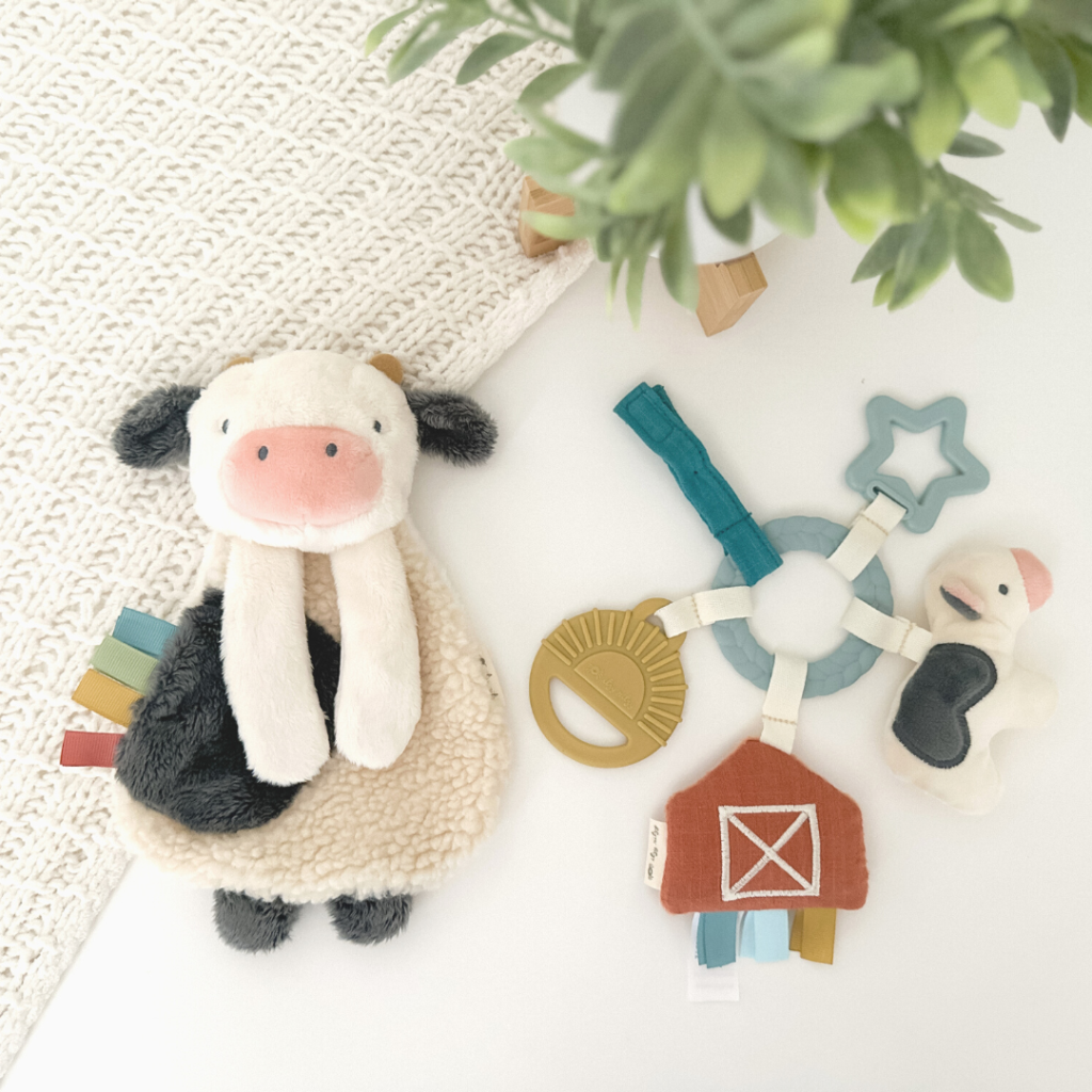 Bitzy Busy Gift Set™! Featuring our Itzy Lovey™ and Bitzy Busy Ring - Farm