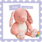 Sweetie Snuggles™ Plush
