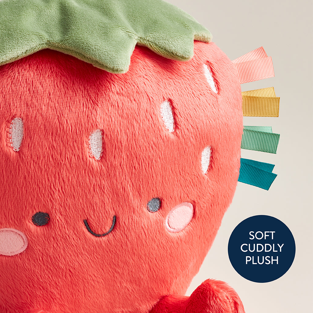 Bonnie the Strawberry