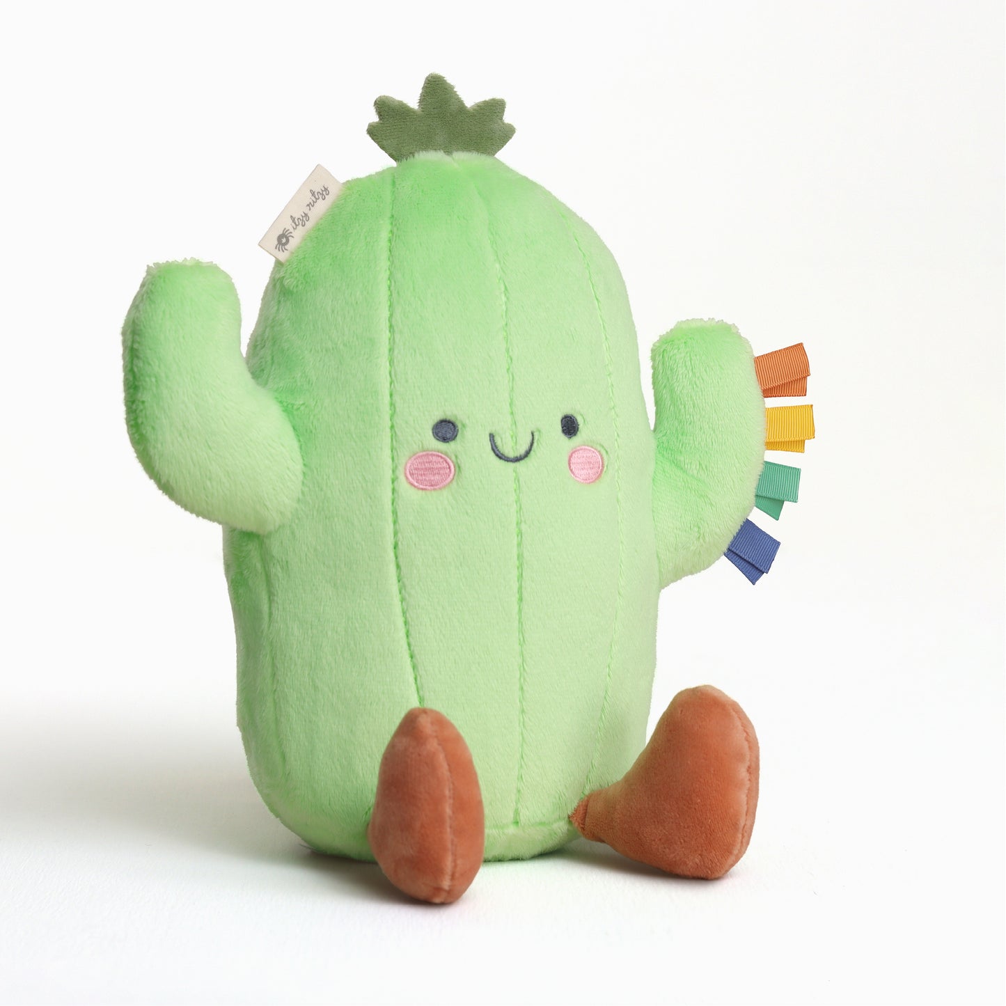 Cooper the Cactus