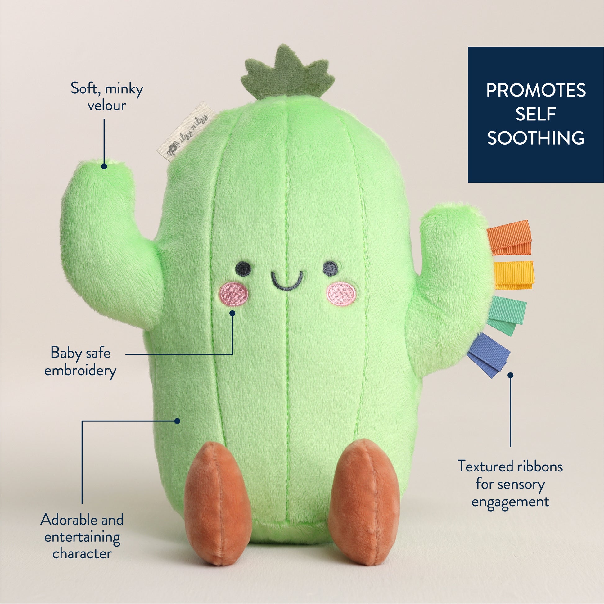 Cooper the Cactus