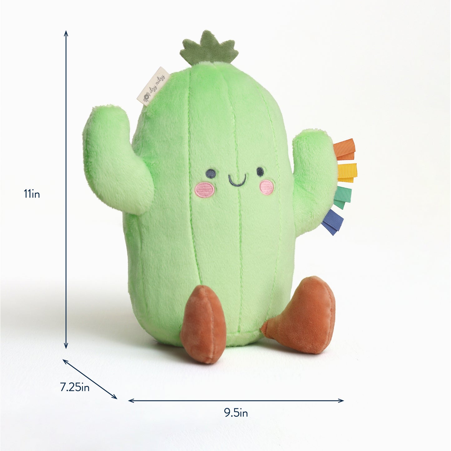 Cooper the Cactus