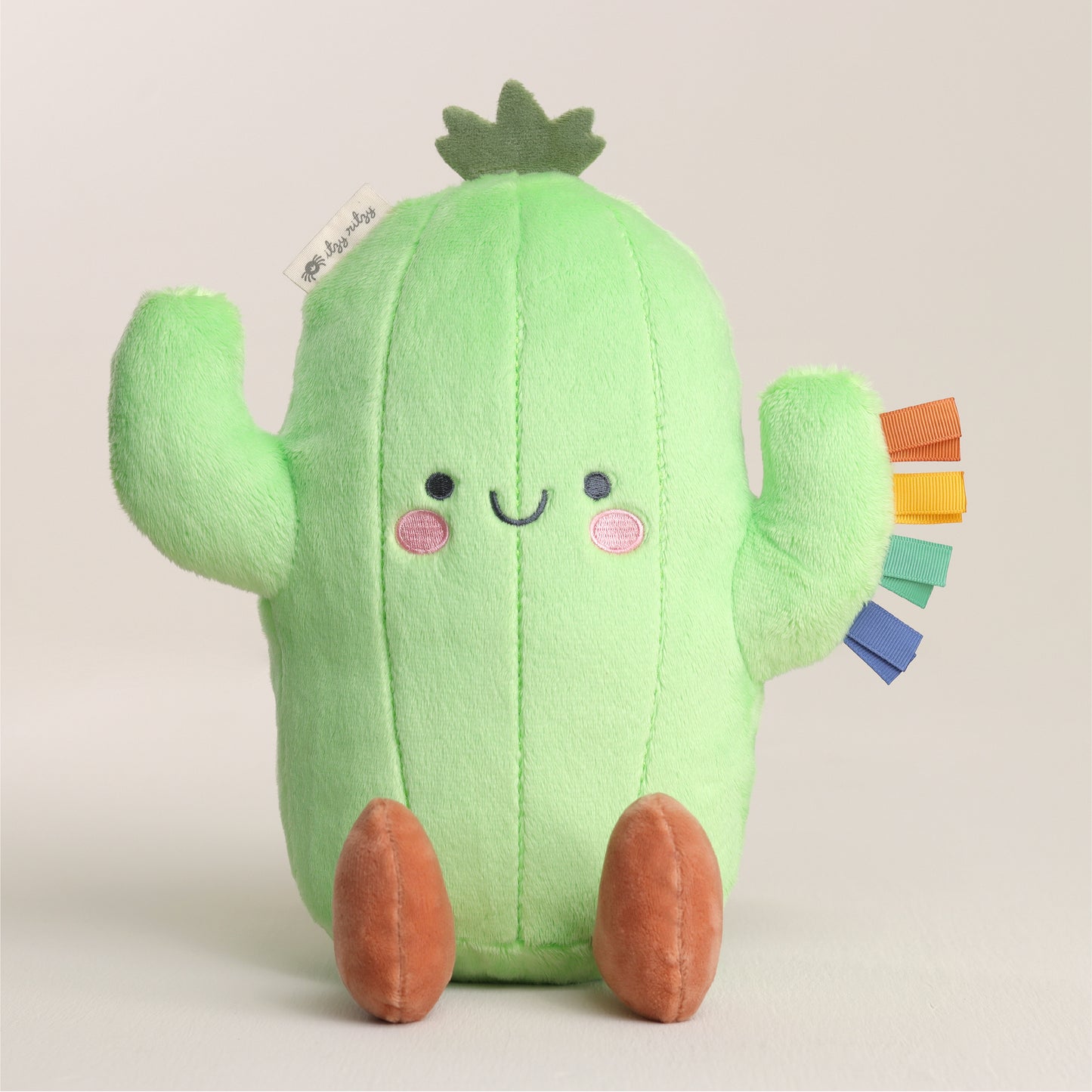 Cooper the Cactus