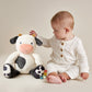 Carmen the Cow