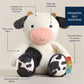 Carmen the Cow