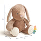 Bille the Bunny