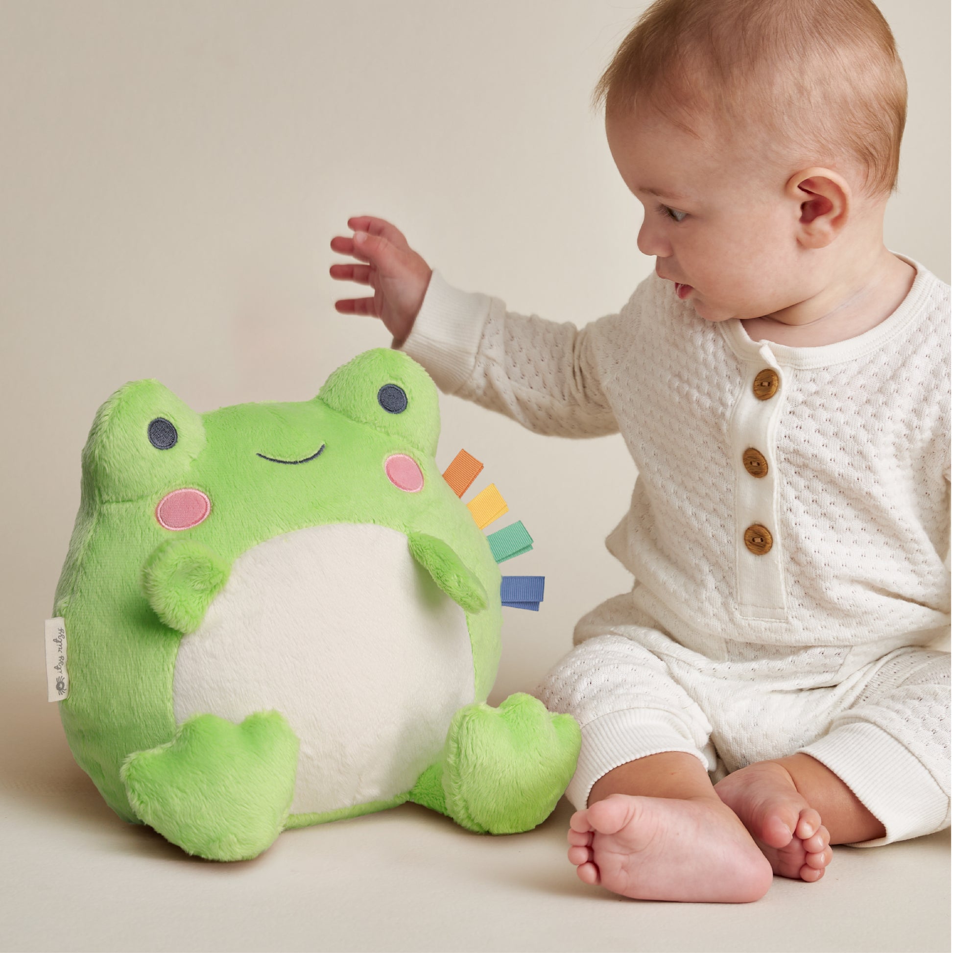 Freddie the Frog