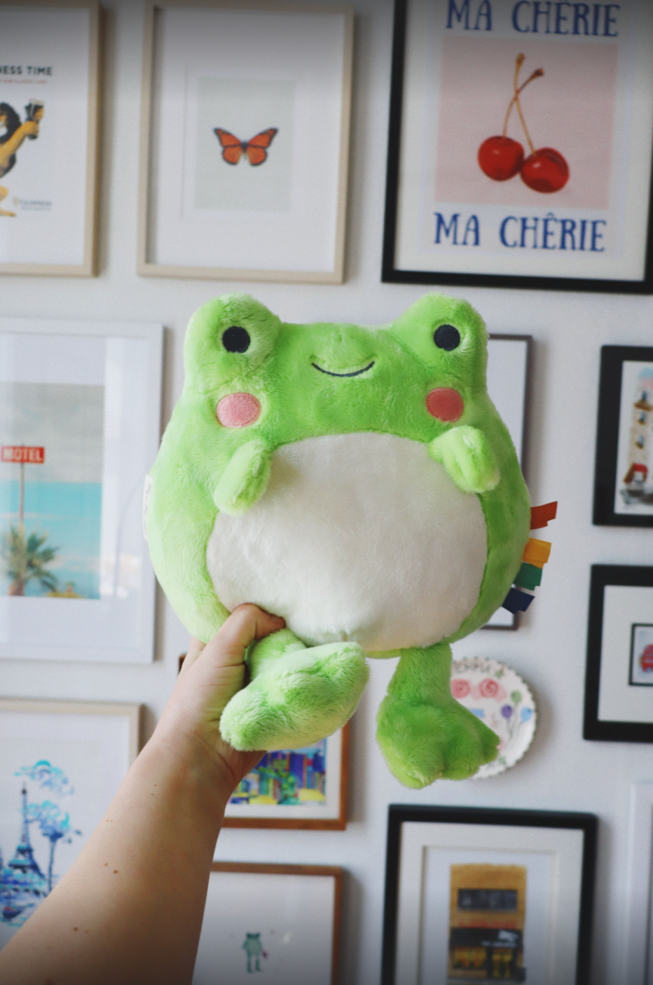 Freddie the Frog