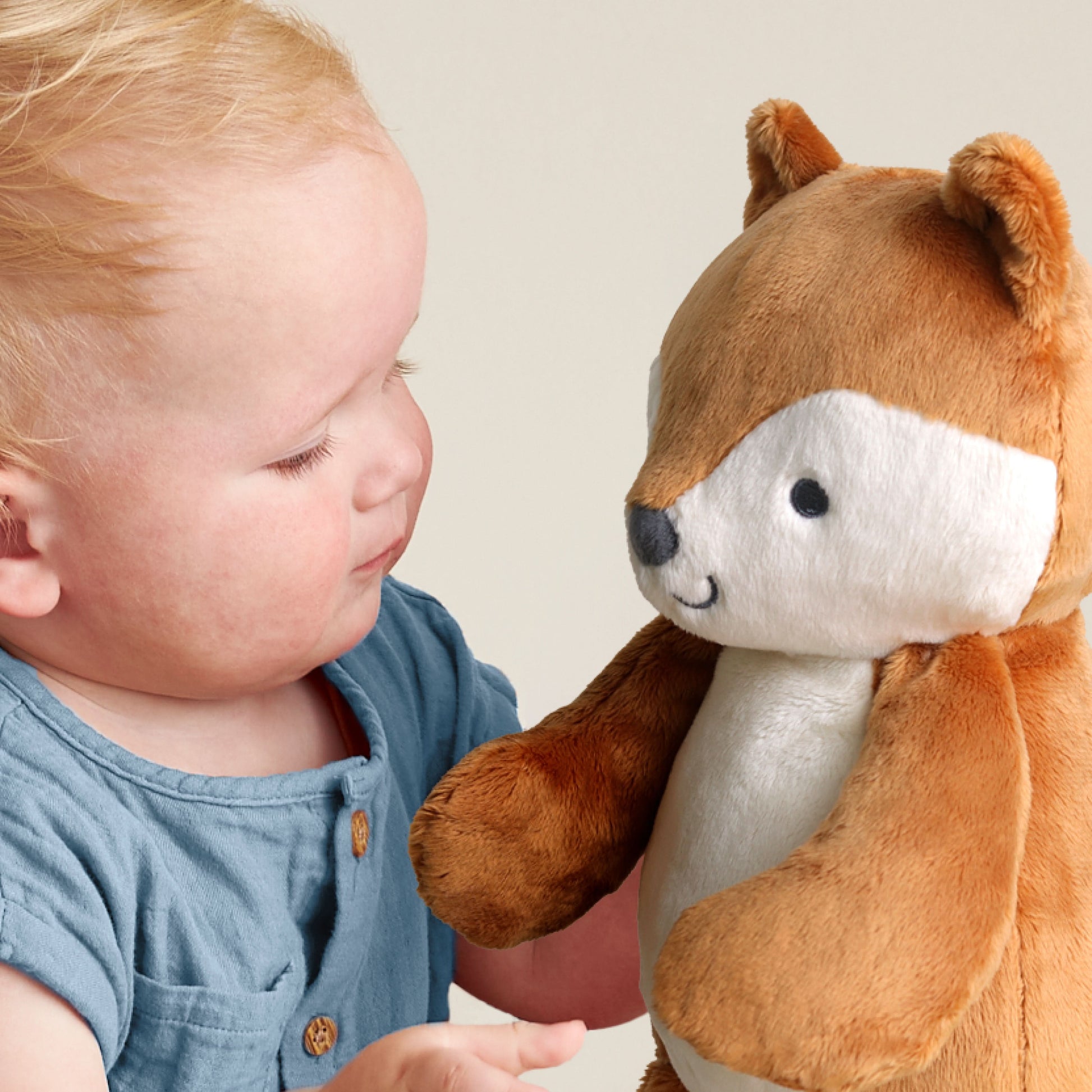 Alex the Fox
