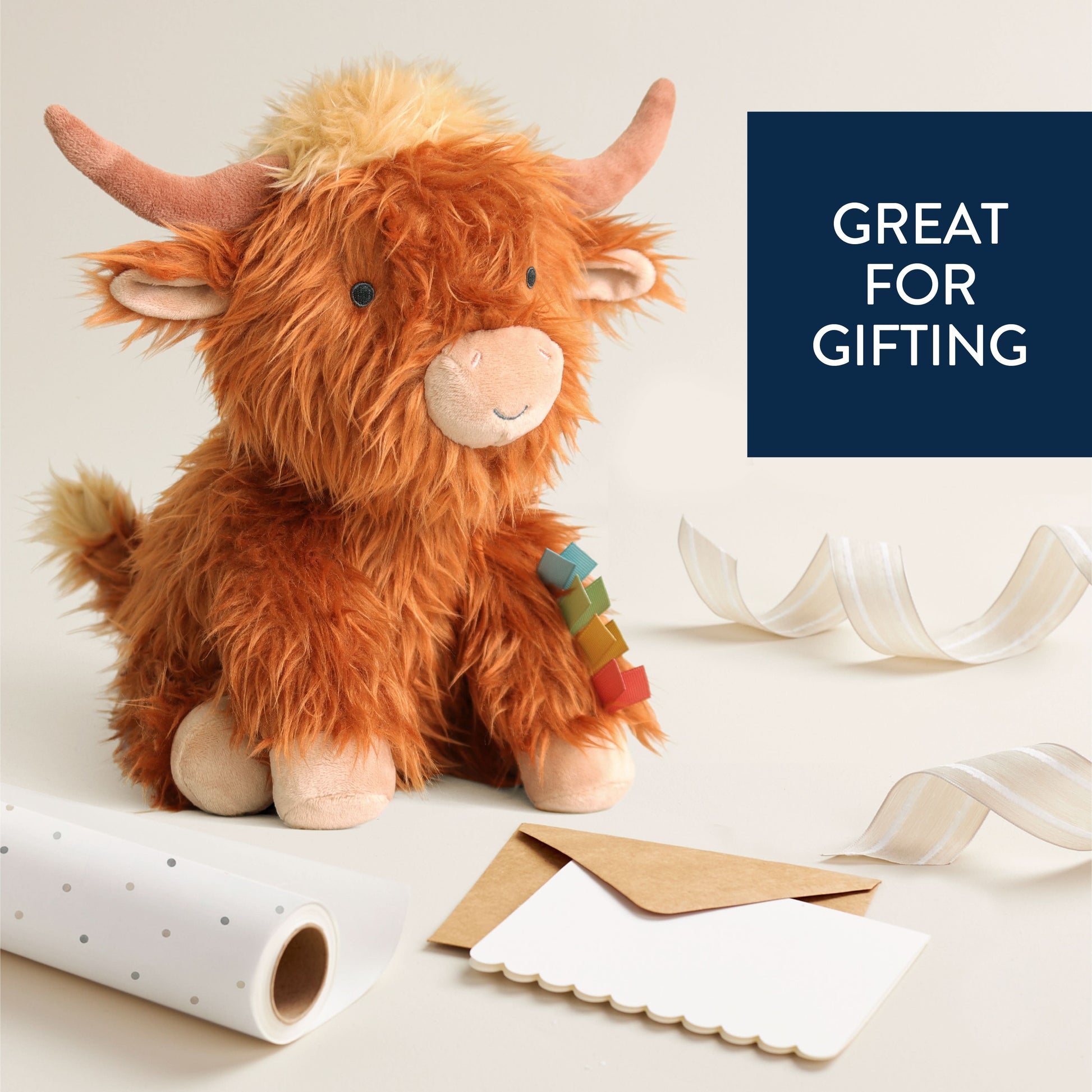 Wyatt the Highland Cow
