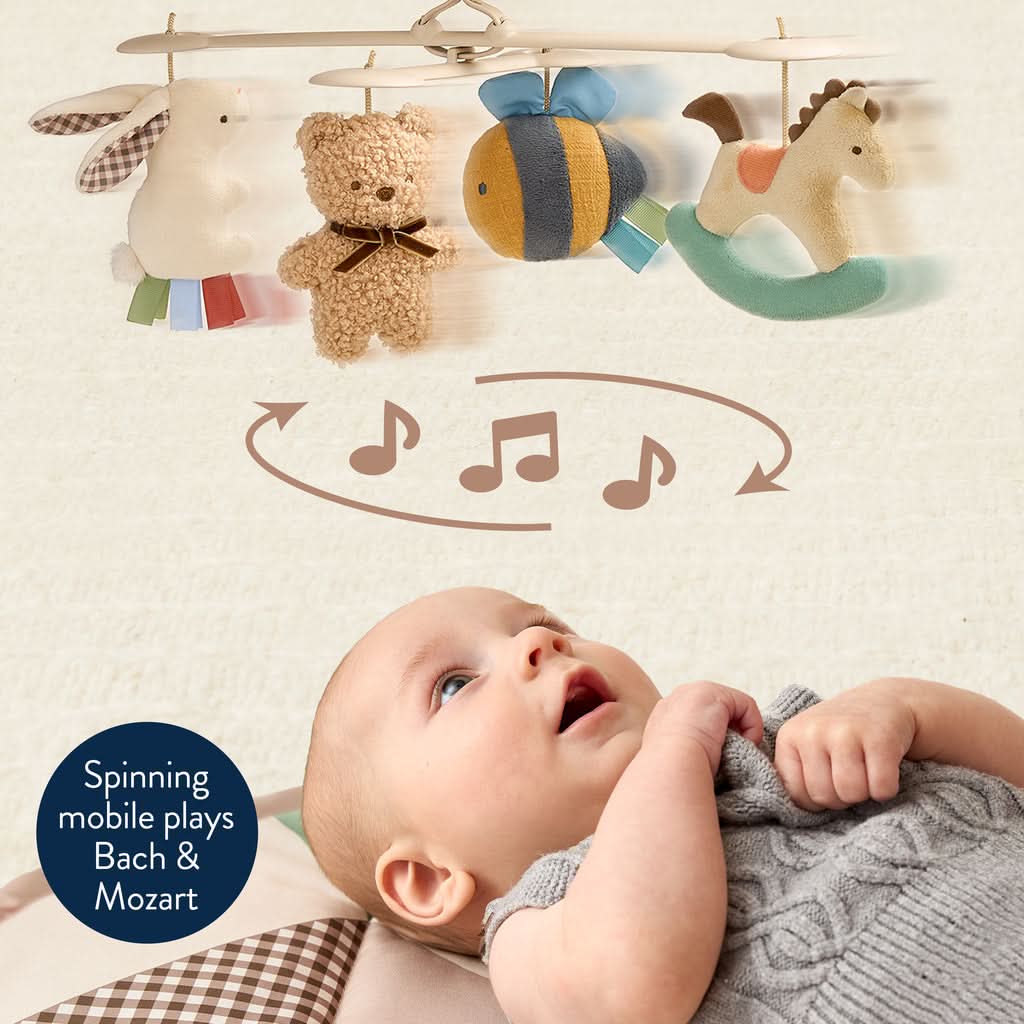 Itzy Music & Motion Activity Gym