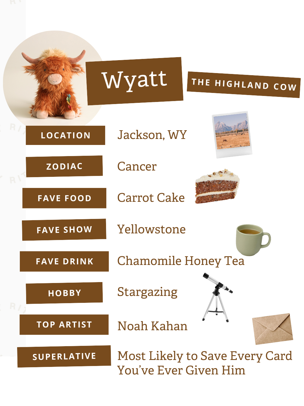 Wyatt the Highland Cow