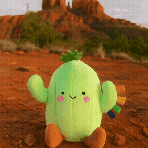 Cooper the Cactus