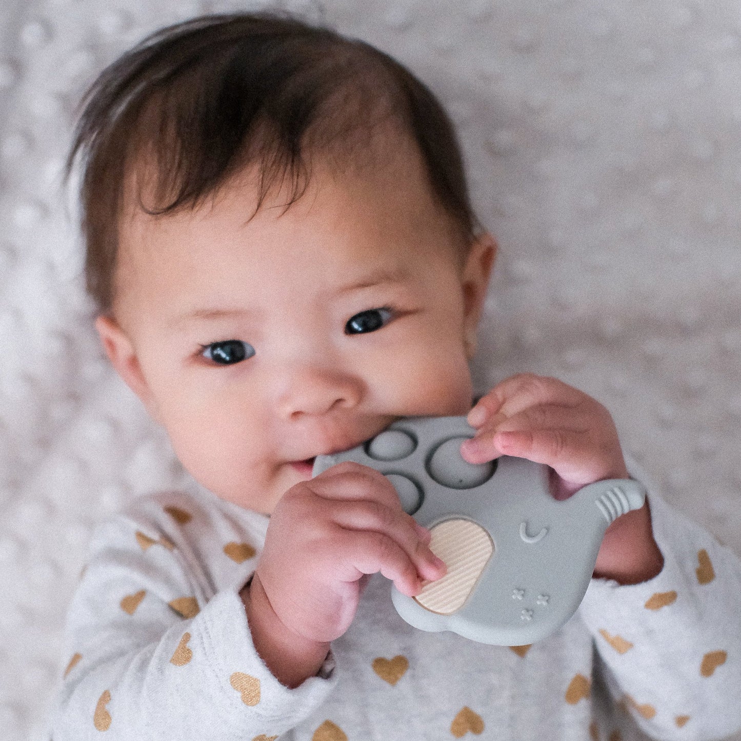 Itzy Pop™ Sensory Popper Toy Toys, Gyms & Tummy Time Itzy Ritzy®  Grey Elephant