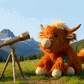 Wyatt the Highland Cow