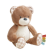 Bear Collection