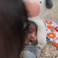 Itzy Bitzy Mirror™ Sensory Tummy Time Mirror - Carmen the Cow