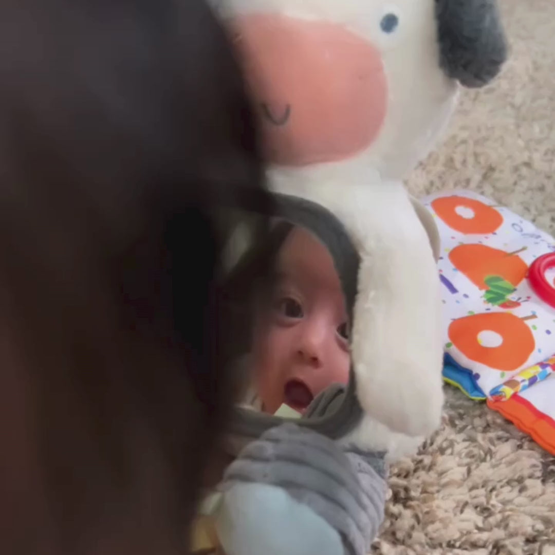 Itzy Bitzy Mirror™ Sensory Tummy Time Mirror - Carmen the Cow