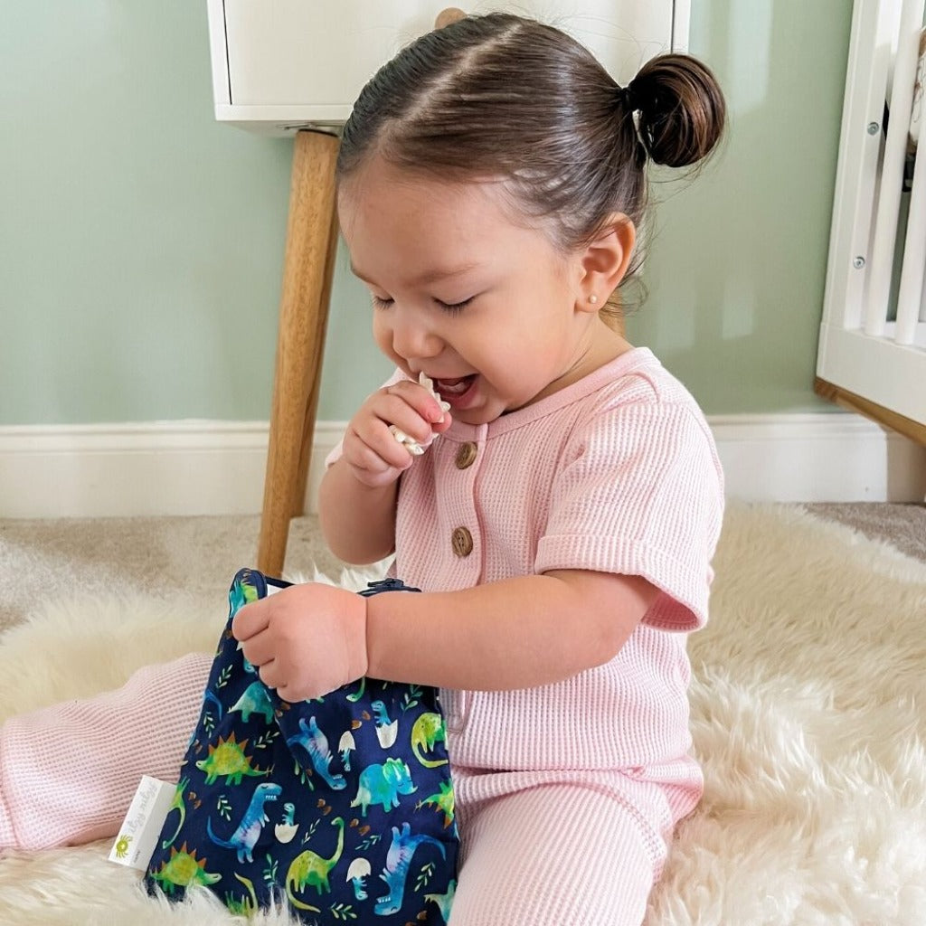 Itzy Ritzy Raining Dinos Reusable Snack & Everything Bag