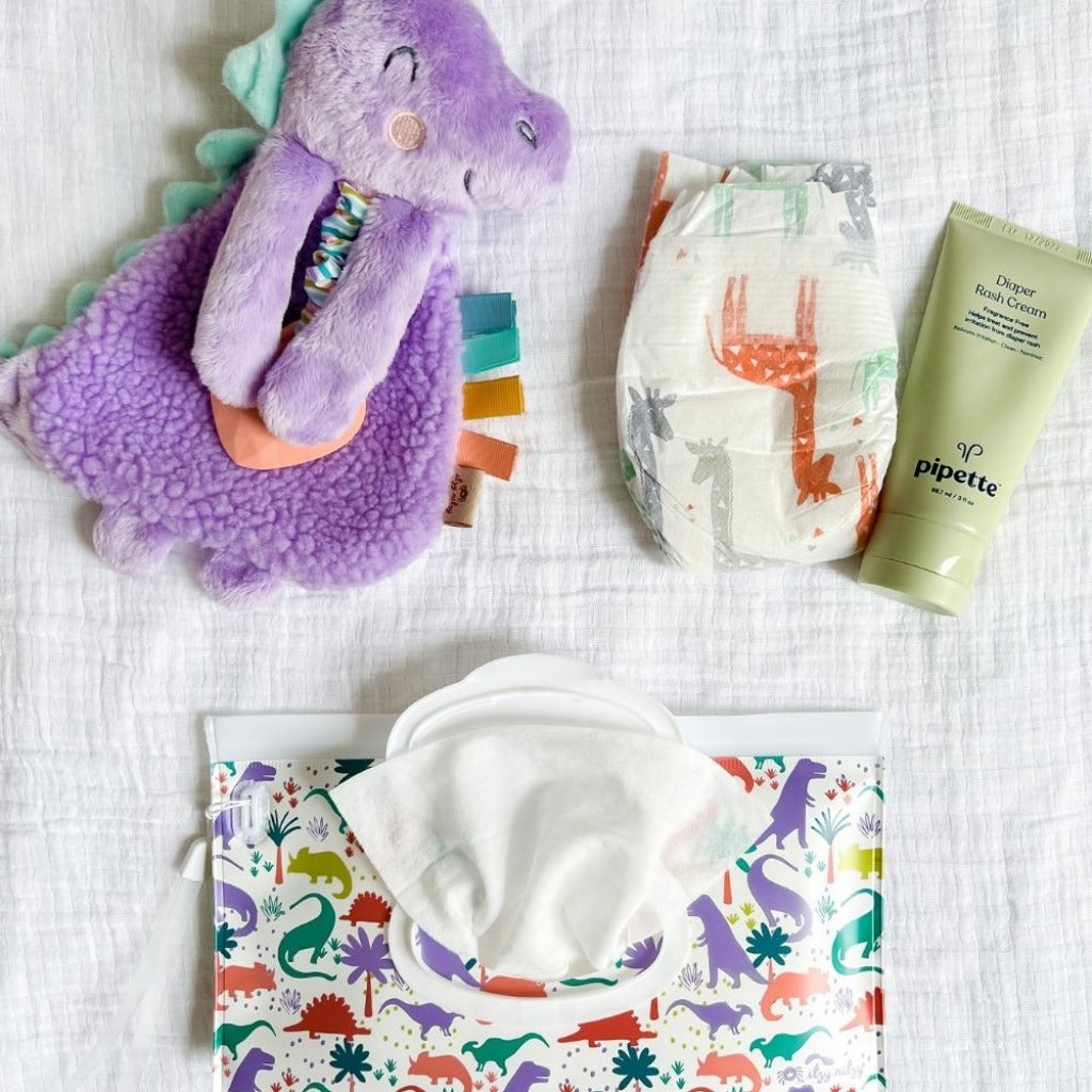 Take & Travel Pouch™ Reusable Wipes Case Diaper Bag Accessory Itzy Ritzy Darling Dinos