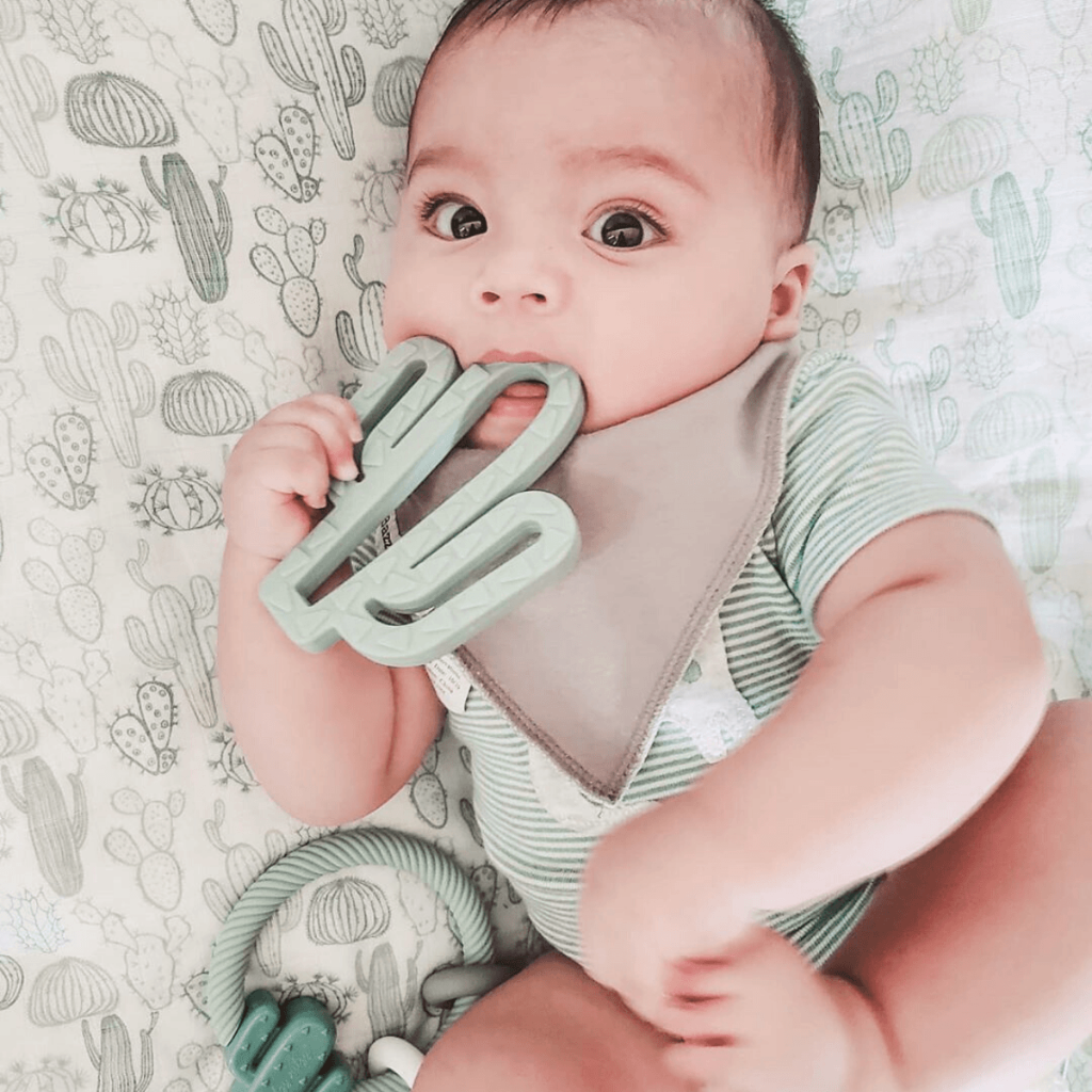 Silicone Baby Teether Silicone Teethers Itzy Ritzy® Cactus Teether 