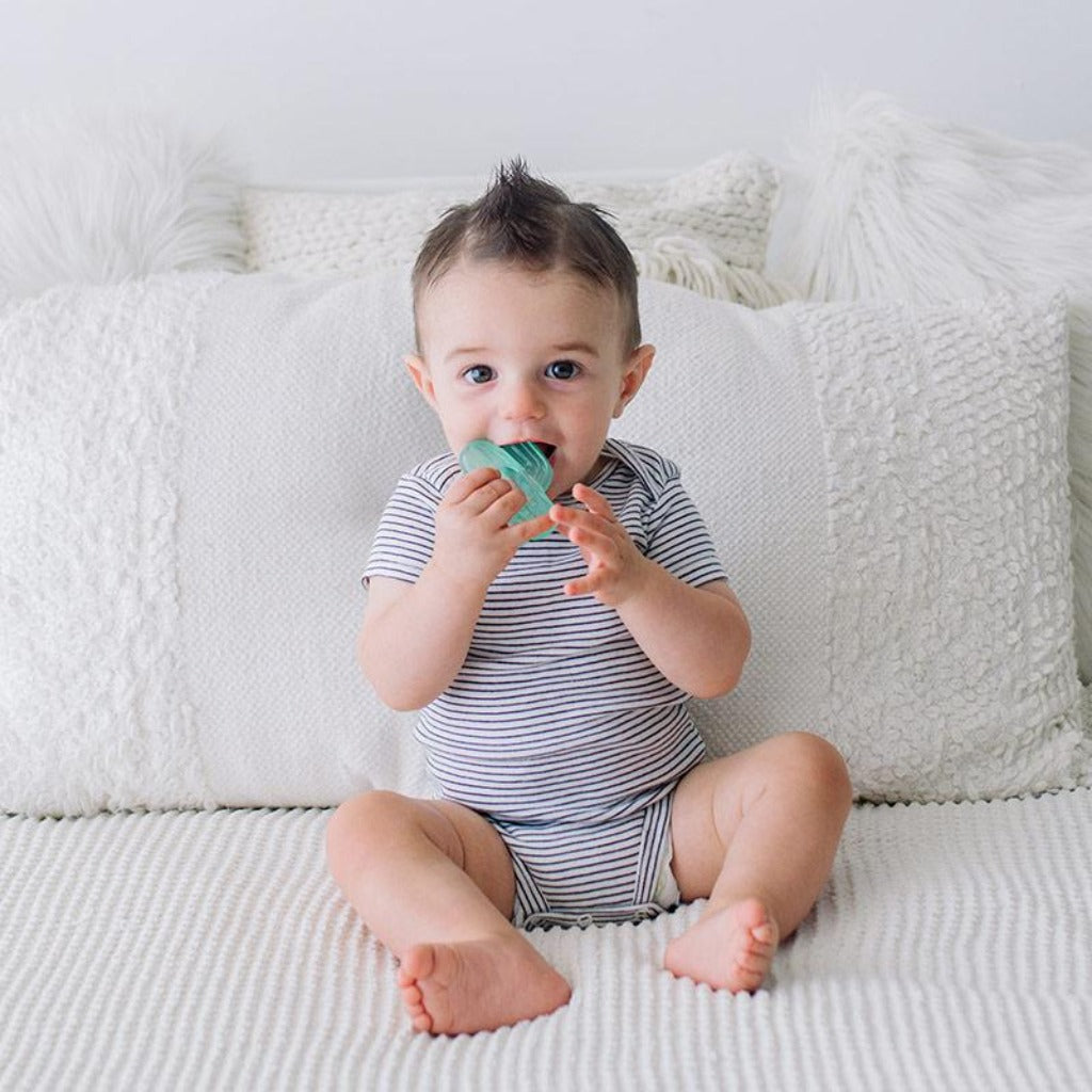 Cutie Coolers Water Teethers Itzy Ritzy - Cactus Coolers